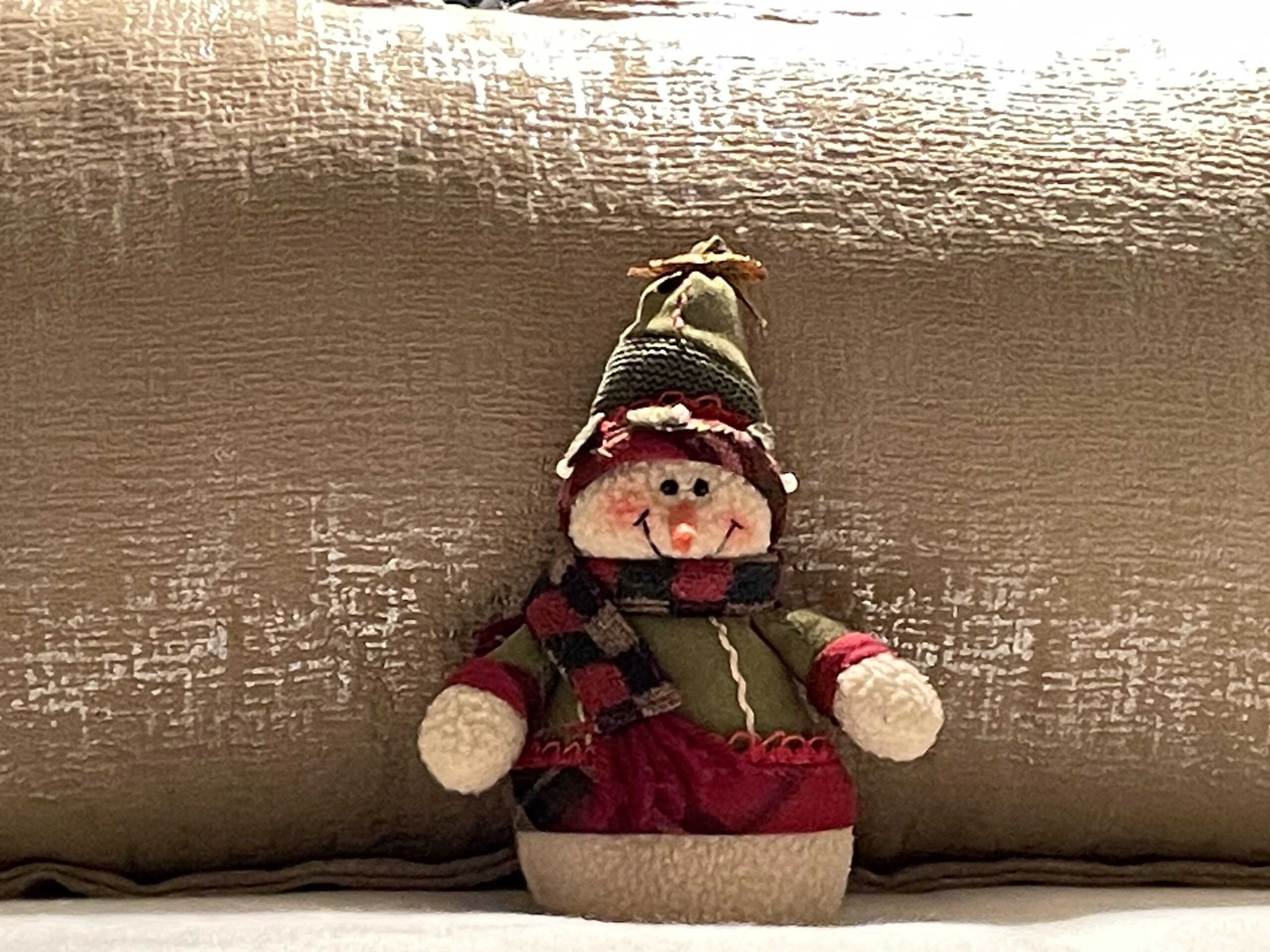 IMG_0091 Close-Up of Plush Snowman on Bed